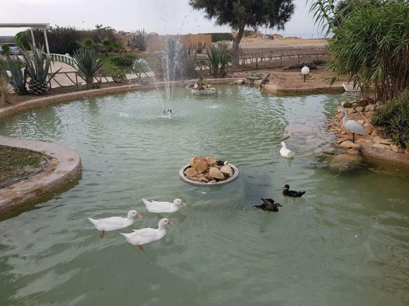 Kamarina Resort Scoglitti Buitenkant foto